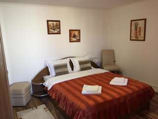 Дома для отпуска Casa Dudu Моечу-де-Жос Двухместный номер с 1 кроватью-6
